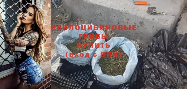 ПСИЛОЦИБИНОВЫЕ ГРИБЫ Бородино