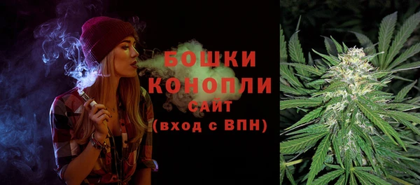 ПСИЛОЦИБИНОВЫЕ ГРИБЫ Бородино