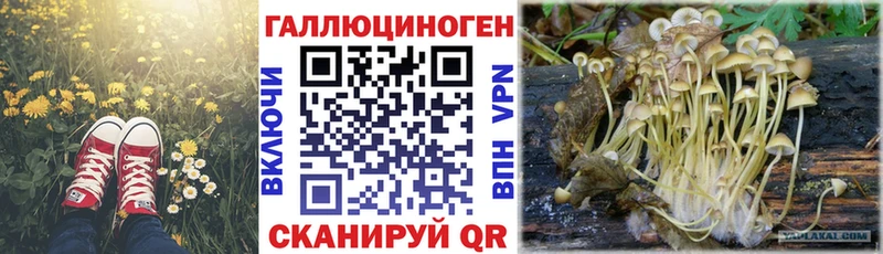 Купить где Менделеевск Псилоцибиновые грибы MAGIC MUSHROOMS